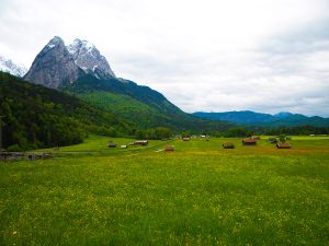 Germany Travel Agent